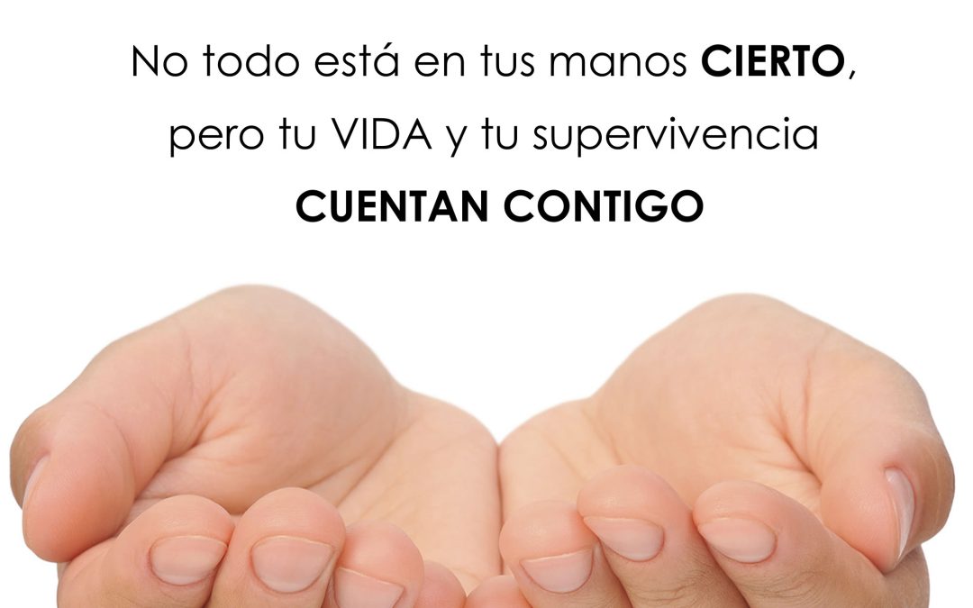 AHORA QUE HAS LLEGADO