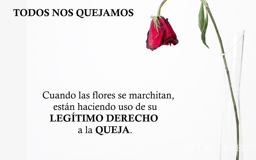 ¿ME QUEJO O NO ME QUEJO?